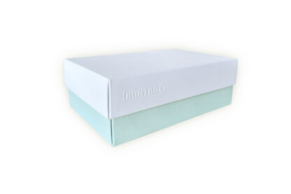 Ländle Liebelei BUNTBOX Pastellgrün/Diamant