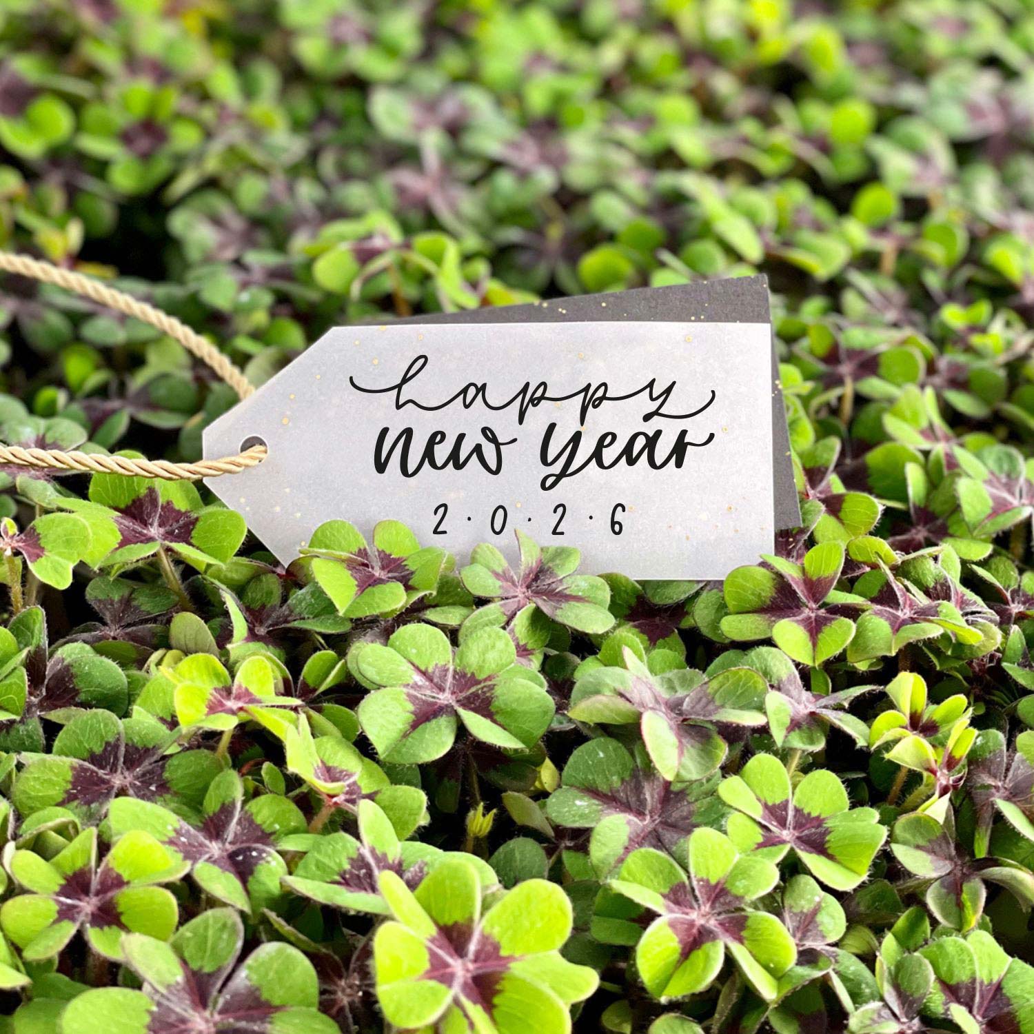 Silvester Vorlagen (digital) – Bild 2