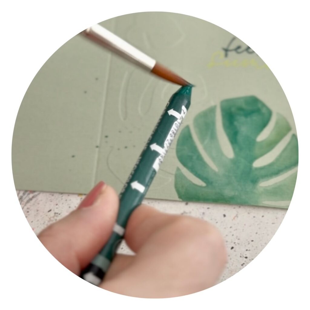 Caran d'Ache Neocolor II